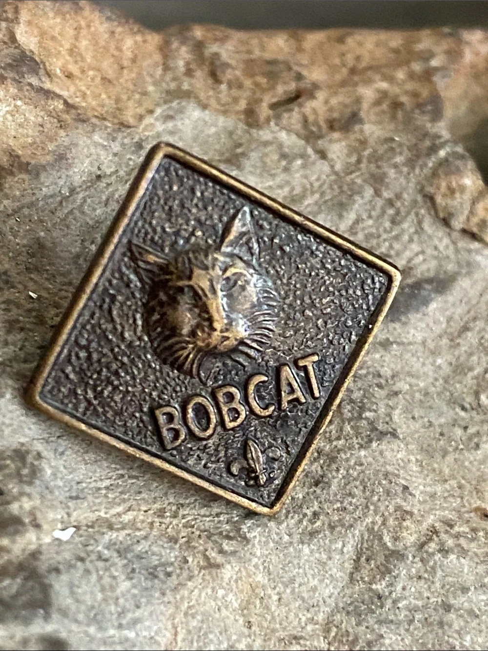 5/$10❤️❤️❤️Vintage BOBCAT BOY-SCOUTS Bronze Tone Pin